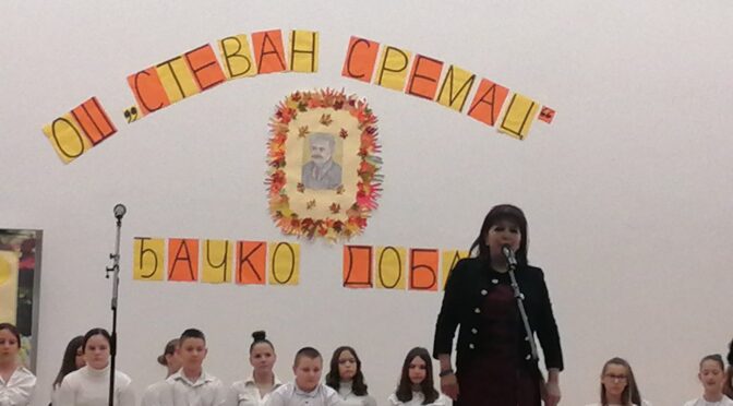 ДАН ШКОЛЕ